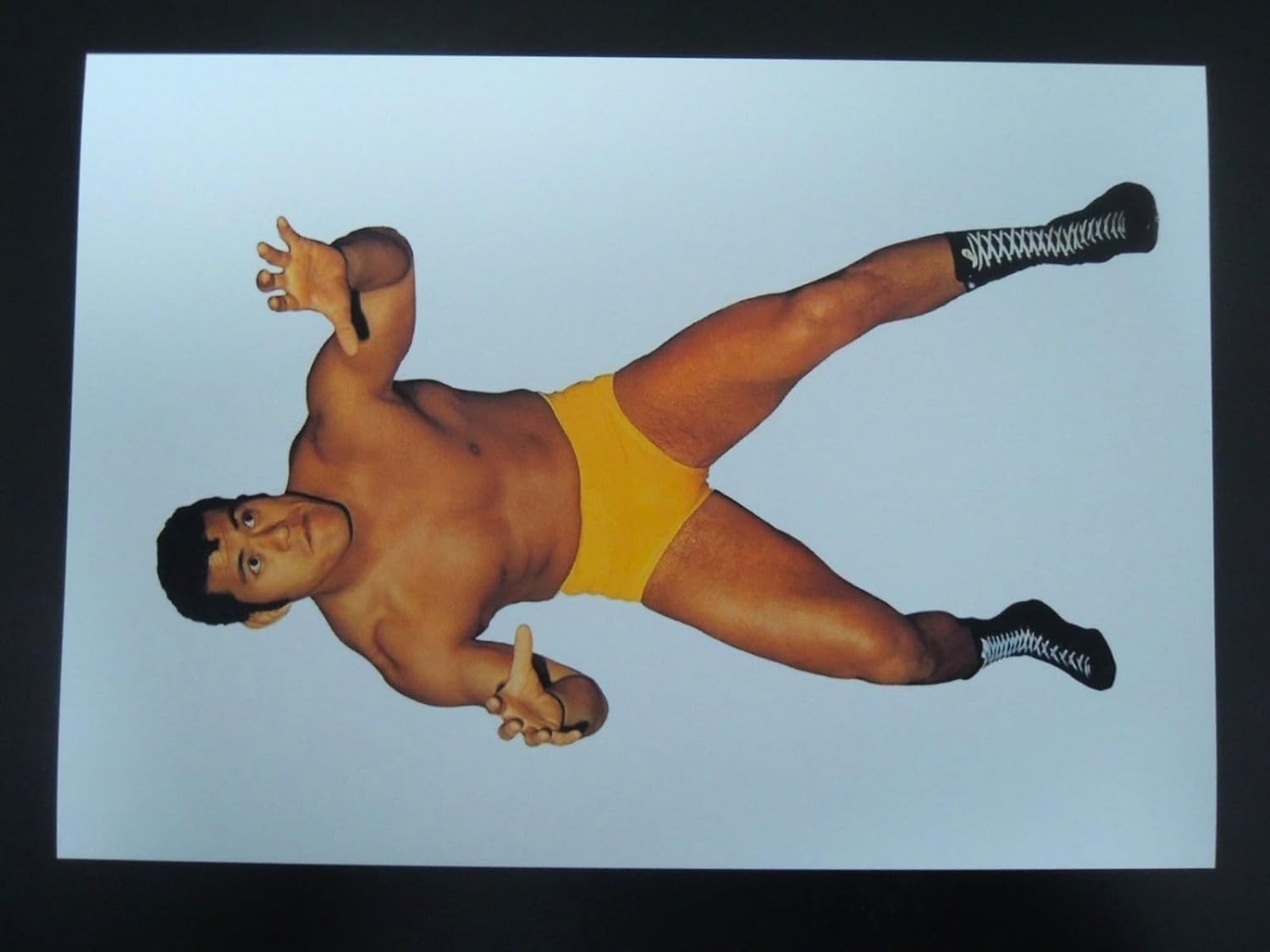 A4 額付き ポスター 猪木 ファイティングポーズ 写真 アントニオイノキ